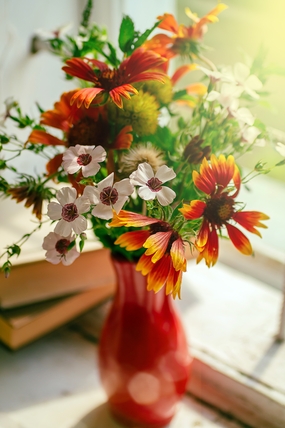 窗台小清新插花摄影图片